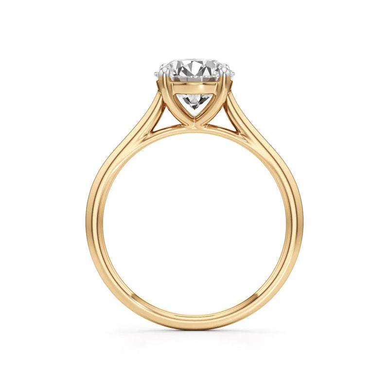 Yellow-Gold