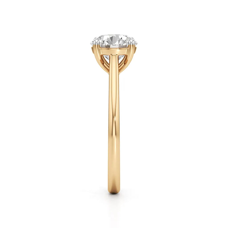 Yellow-Gold