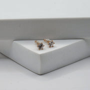 Classic 6-Prong Stud Earrings